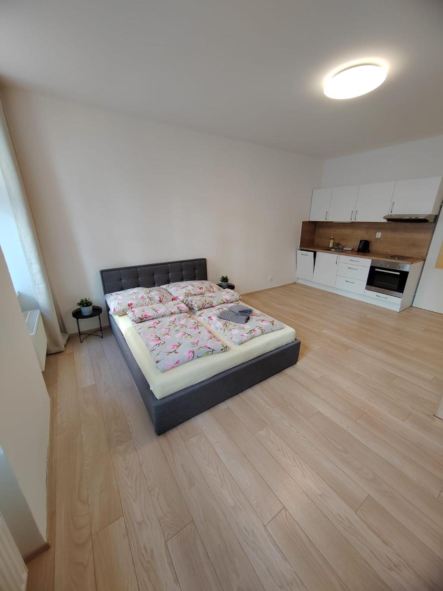 Apartia Vlhka 26, Brno-Center エクステリア 写真